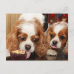 Cartão Postal Aniversário descuidado do cupcake<br><div class="desc">Aqui o Renae bonito toma um grande lambe de seu cupcake do aniversário,  quando Joey olhar pacientemente sobre,  esperando sua volta</div>