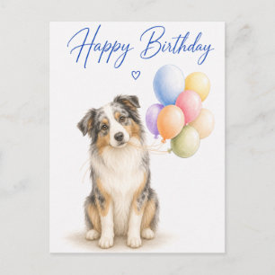 Cartão Postal Aniversário do Australian Shepherd