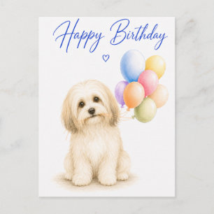 Cartão Postal Aniversário do Havanese