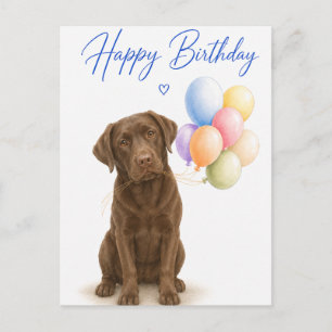 Cartão Postal Aniversário do Labrador Chocolate