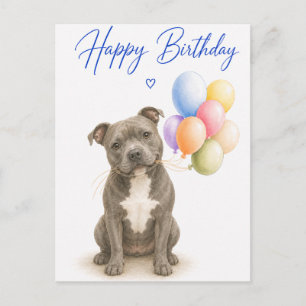 Cartão Postal Aniversário do Staffordshire Bull Terrier