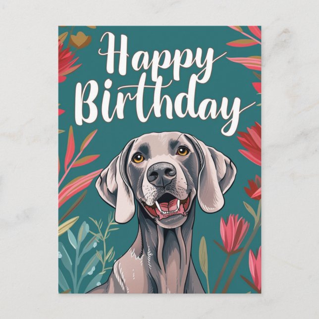 Cartão Postal Aniversário Weimaraner (Frente)