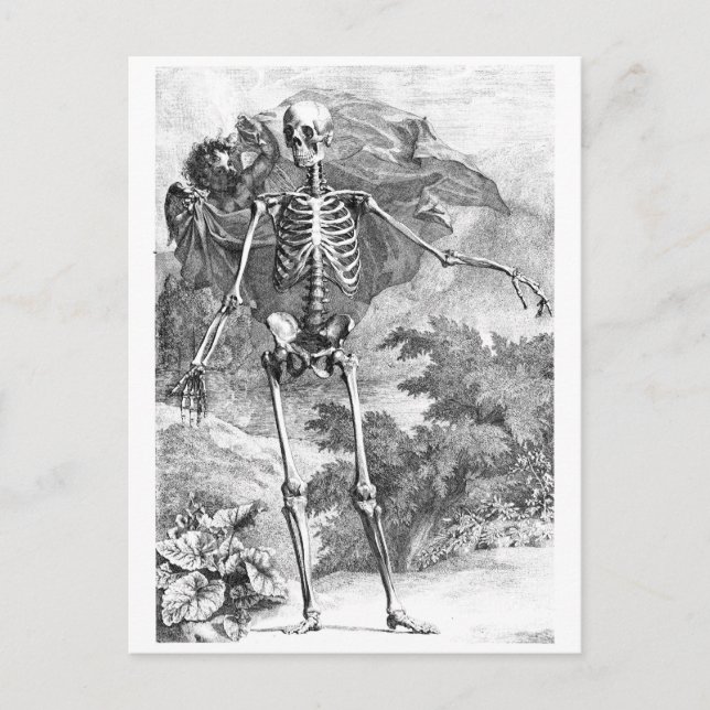 Cartão Postal Anjo cobrindo um esqueleto em pé (Frente)
