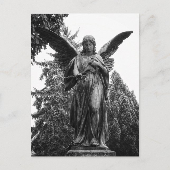 Cartão Postal Anjo Com Asas Espalhadas Segurando Uma Flor (Frente)