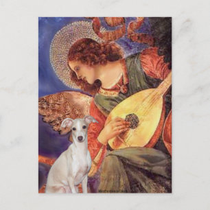 Cartão Postal Anjo com Bandolim - -Galgo Italiano 7