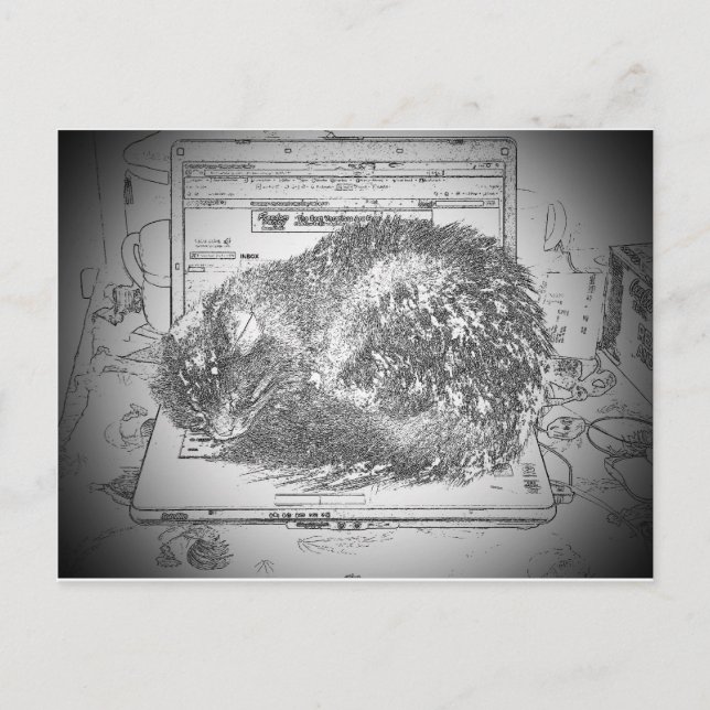 Cartão Postal Anjo Engraçado Em Um Gato De Laptop? (Frente)