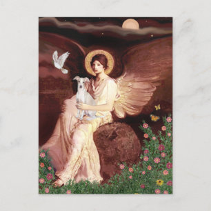 Cartão Postal Anjo Sentado - Galgo Italiano 7