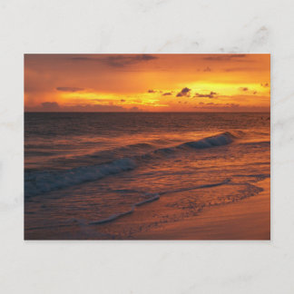 Cartão Postal Anna Maria Island, FL