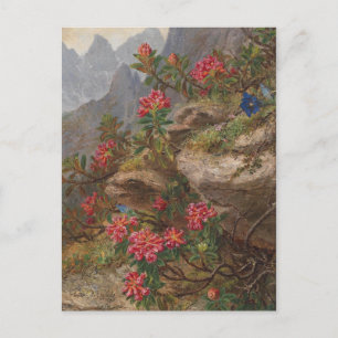 Cartão Postal Anna Stainer-Knittel Vintage Flores Alpinas
