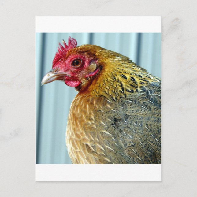 Cartão Postal Annie (Frente)