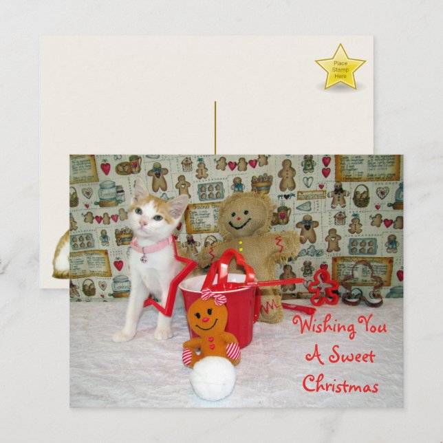 Cartão Postal Annie Cat Gingerpão Natal (Frente/Verso)