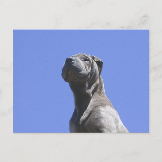 Cartão Postal Anos Cachorros... (Frente)