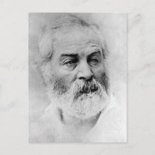 Cartão Postal Anos da Guerra Civil de Walt Whitman Idade 44
