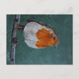 Cartão Postal Ansichtkaart Roodborst.