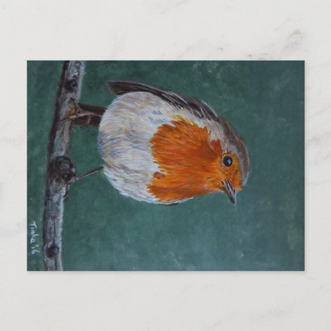 Cartão Postal Ansichtkaart Roodborst. (Frente)