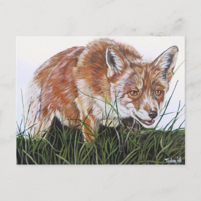 Cartão Postal Ansichtkaart Vos. (Frente)