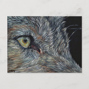 Cartão Postal Ansichtkaart Wolf