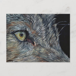 Cartão Postal Ansichtkaart Wolf