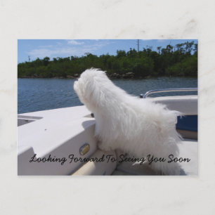 Cartão Postal Ansioso para Ver Você Em Breve