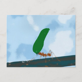 Cartão Postal Ant Carregando Folha