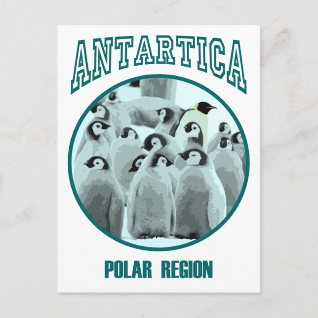 Cartão Postal Antártica (Frente)