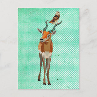 Cartão postal ANTELOPE e OWL