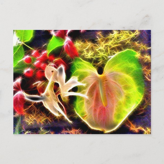 Cartão Postal Anthurium (Frente)