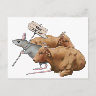 Cartão Postal Anti-bullying: Touros, Rato: Bullying NÃO Legal