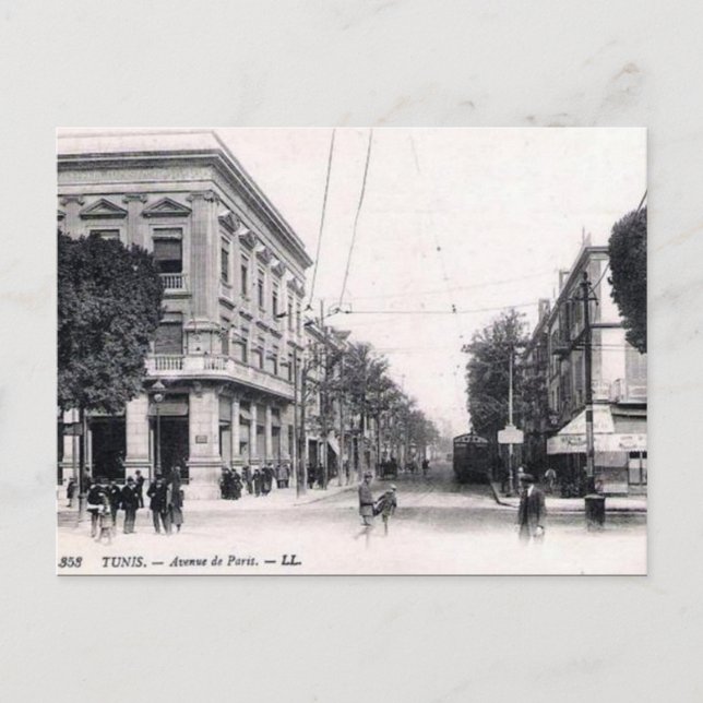 Cartão postal antigo - Avenue de Paris, Tunis (Frente)