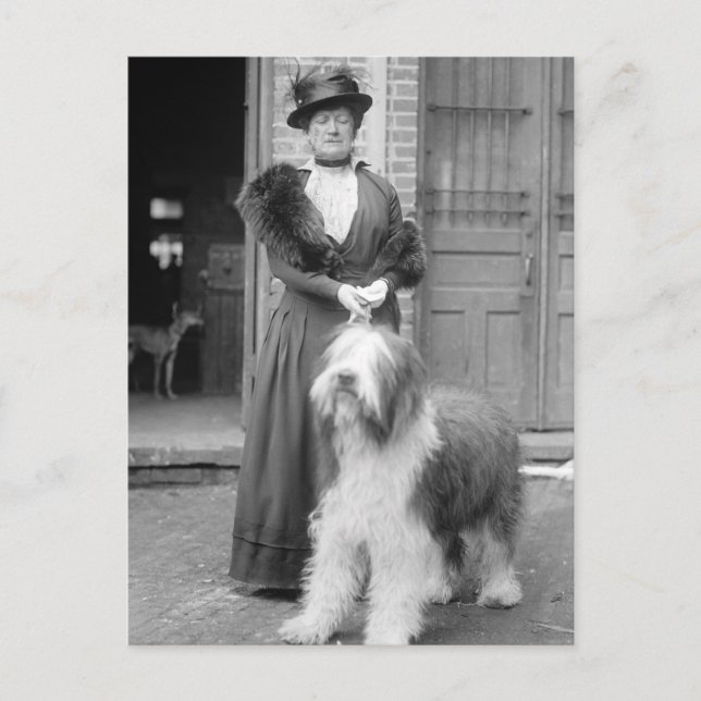 Cartão Postal Antigo Cão Inglês, 1915 (Frente)