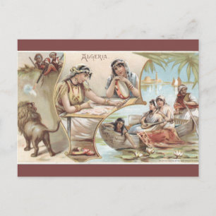 Cartão Postal Antigo da Argélia