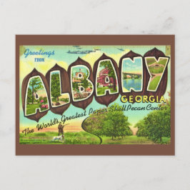 Cartão postal antigo de Albany Geórgia