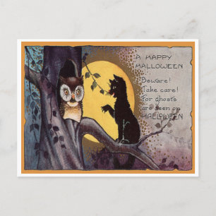Cartão Postal Antigo de Halloween de Coruja e Gato