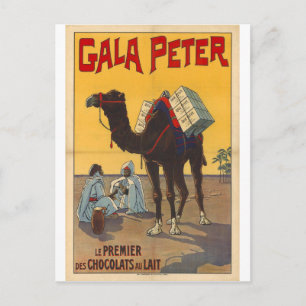 cartão postal antigo estilo dromedário