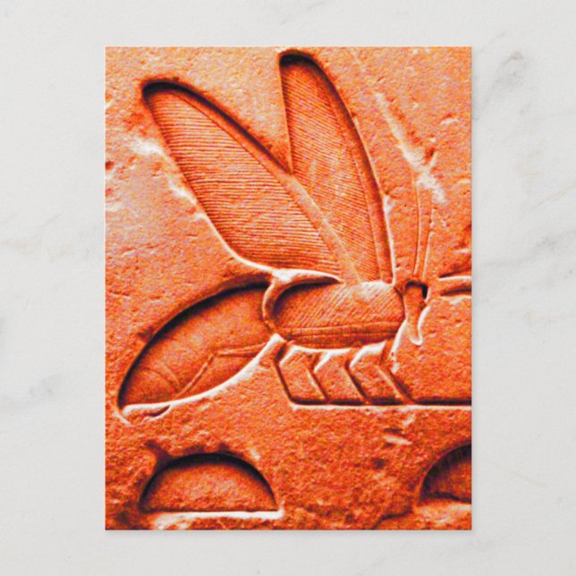 CARTÃO POSTAL ANTIGO MEL EGÍPCIO VERMELHO-VERMELHO QUE APOSTA (Frente)