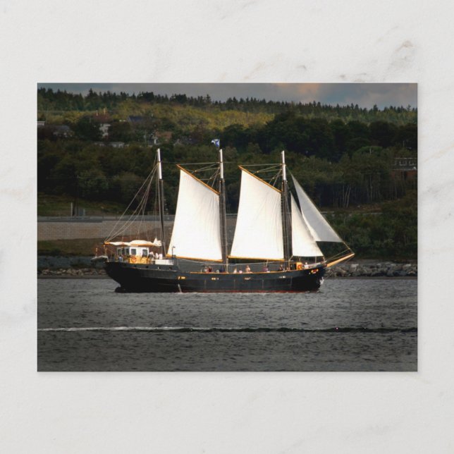 Cartão Postal Antigo navio (Frente)