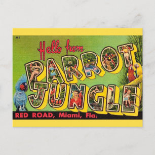 Cartão postal antigo Parrot Jungle Miami