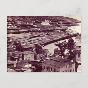 Cartão postal antigo - Petty Harbor, Terra Nova