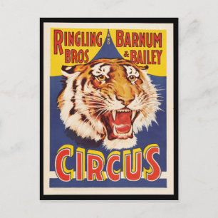 Cartão Postal Antigo poster de 1900 com tigre vintage