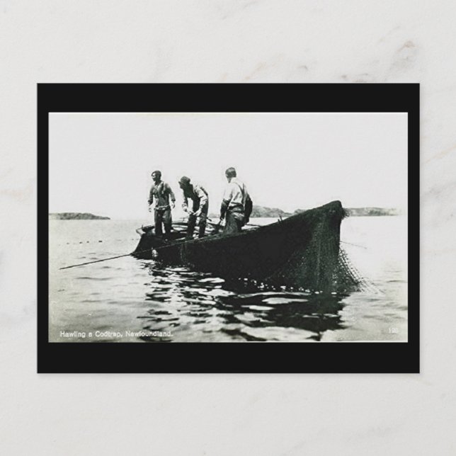 Cartão Postal Antigo - Terra Nova, Pesca do Bacalh (Frente)