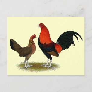 Cartão Postal Antigos Bantams de Jogo Inglês:  BB Red Pair