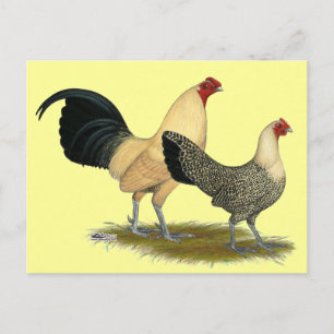 Cartão Postal Antigos Copos de Creme Inglês