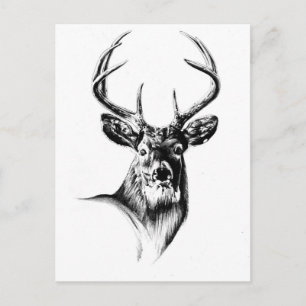 Cartão Postal Antiguidade do desenho de arte de marca feito à m