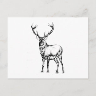 Cartão Postal Antiguidade do desenho de arte de marca feito à m