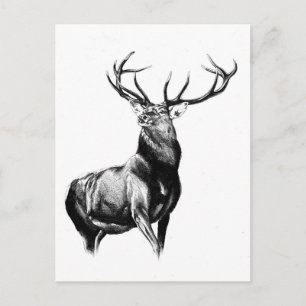Cartão Postal Antiguidade do desenho de arte de marca feito à mã