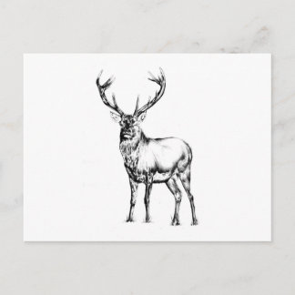 Cartão Postal Antiguidade do desenho de arte de marca feito à mã