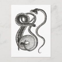 Antiguidades de Cobra de Duas Cabeças Raridades Cu