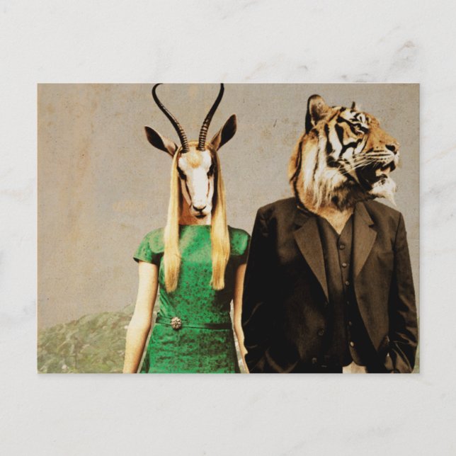 Cartão Postal Antílope e o Tigre (Frente)