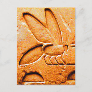 CARTÃO POSTAL ANTIQUE LARANJA AMARELO EGÍPCIA MEL DE ABELHA
