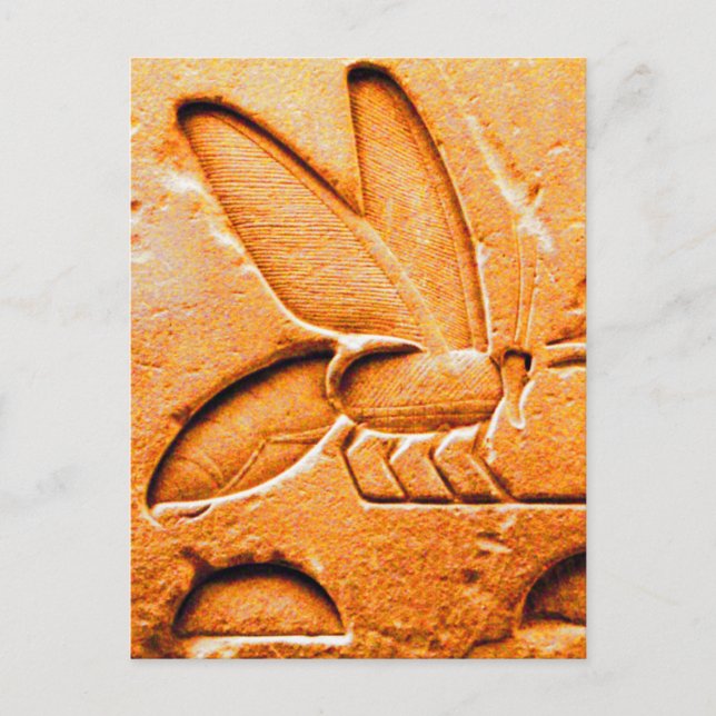 CARTÃO POSTAL ANTIQUE LARANJA AMARELO EGÍPCIA MEL DE ABELHA (Frente)